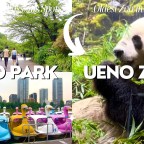 Ueno Park and Ueno Zoo: A Captivating Oasis of Nature and Wildlife in Tokyo